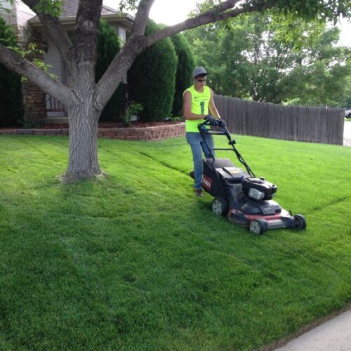 Lawn Service-Pasadena TX Landscape Designs & Outdoor Living Areas-We offer Landscape Design, Outdoor Patios & Pergolas, Outdoor Living Spaces, Stonescapes, Residential & Commercial Landscaping, Irrigation Installation & Repairs, Drainage Systems, Landscape Lighting, Outdoor Living Spaces, Tree Service, Lawn Service, and more.