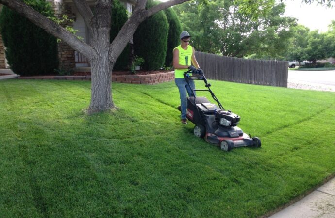 Lawn Service-Pasadena TX Landscape Designs & Outdoor Living Areas-We offer Landscape Design, Outdoor Patios & Pergolas, Outdoor Living Spaces, Stonescapes, Residential & Commercial Landscaping, Irrigation Installation & Repairs, Drainage Systems, Landscape Lighting, Outdoor Living Spaces, Tree Service, Lawn Service, and more.