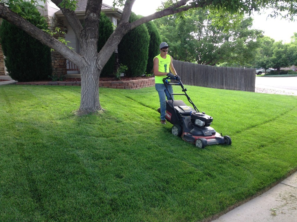 Lawn Service-Pasadena TX Landscape Designs & Outdoor Living Areas-We offer Landscape Design, Outdoor Patios & Pergolas, Outdoor Living Spaces, Stonescapes, Residential & Commercial Landscaping, Irrigation Installation & Repairs, Drainage Systems, Landscape Lighting, Outdoor Living Spaces, Tree Service, Lawn Service, and more.