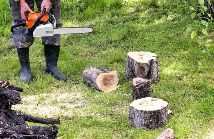 Tree Service-Pasadena TX Landscape Designs & Outdoor Living Areas-We offer Landscape Design, Outdoor Patios & Pergolas, Outdoor Living Spaces, Stonescapes, Residential & Commercial Landscaping, Irrigation Installation & Repairs, Drainage Systems, Landscape Lighting, Outdoor Living Spaces, Tree Service, Lawn Service, and more. Tree Service-Pasadena TX Landscape Designs & Outdoor Living Areas-We offer Landscape Design, Outdoor Patios & Pergolas, Outdoor Living Spaces, Stonescapes, Residential & Commercial Landscaping, Irrigation Installation & Repairs, Drainage Systems, Landscape Lighting, Outdoor Living Spaces, Tree Service, Lawn Service, and more.